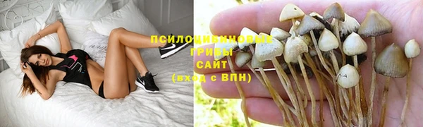 бошки Алексин