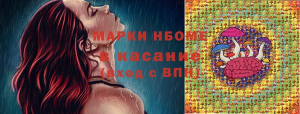 бошки Алексин