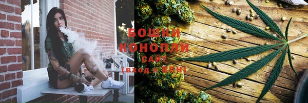 бошки Алексин