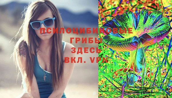 бошки Алексин