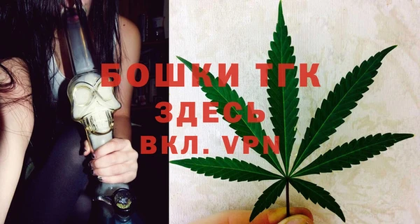 бошки Алексин